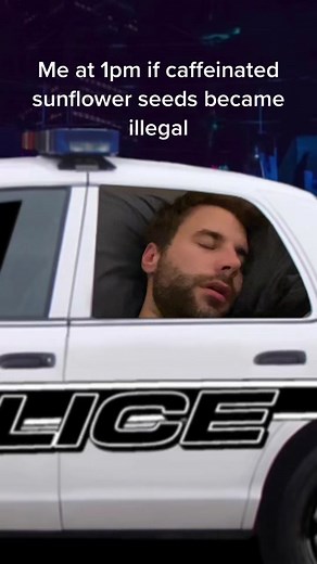 #fyp #policecarfilter #sleepy