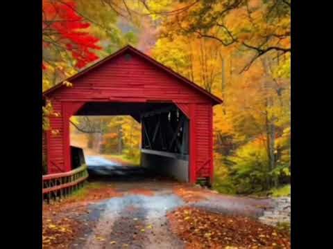 UNPLUG 即興 自由板 悲秋風/紅顏