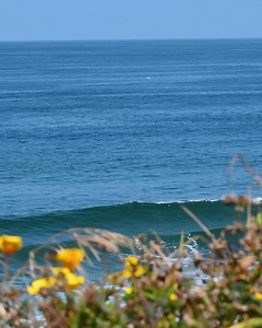 Enjoy the Classic California beach lifestyle at Redondo Beach. | DiscoverRedondoBeach.com | Redondo Beach Tourism