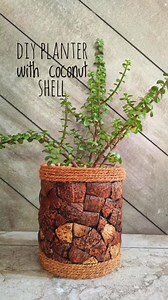 Before you toss those coconut shells, reuse them to house your plants and give your home décor a fancy uplift. Just grab an empty tub and upcycle it into a beautiful planter that gives your space and your plants a new, creative appeal! 🎥 by: @plants.diy.upcycle on IG #repost #HousePlants #IndoorPlants #PlantHolder #DIY #HomeDecor #diyinterior #interiordesign #ecofriendly #sustainable #interiors #homedecor #decor #reels #interiorreels #instagood #instalove #creative #craft #planter #coconutshell