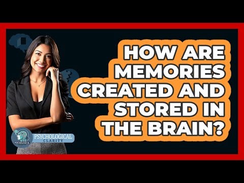 How Are Memories Created And Stored In The Brain? - Psychological Clarity