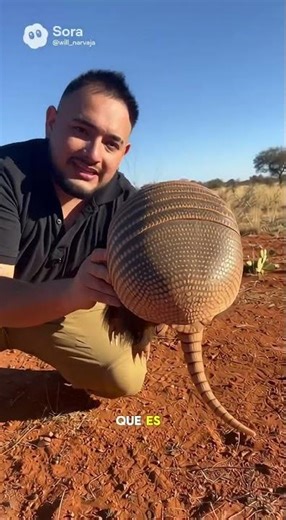 Cocinamos un caldo de armadillo (“Tatú bolita” Paraguayo) bajo el calor del Chaco Paraguayo