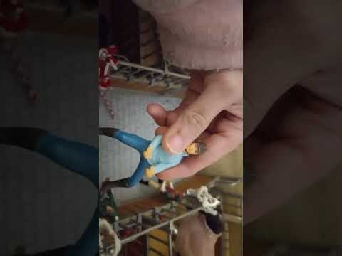 Starlight stables barn tour