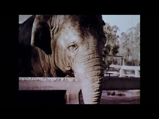 Gulliver's Travels: Exploring Jonathan Swift's Physics & Bone Strength