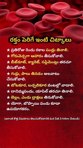 Increase Blood | Naturally at Home Simple Daily Tips