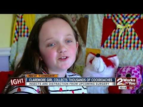Claremore Girl Collects Thousands Of Cockroaches