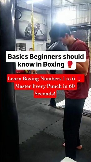 How Boxers Use Numbers to Call Punches | Boxing Basics for Beginners #shadowboxing #boxingduo