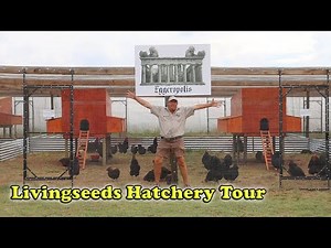 Hatchery Tour ~ Livingseeds Hatchery
