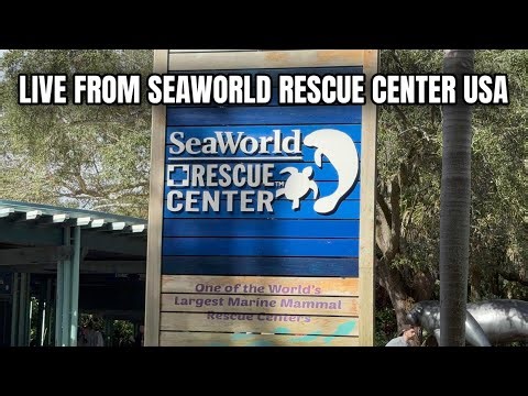 SeaWorld Rescue Center 2026 at Walt Disney World Florida 🇺🇸 | INSANE Rides & Attractions Tour
