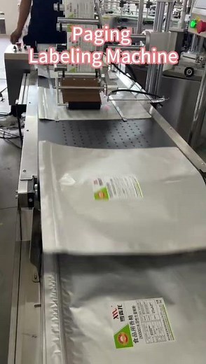 Paging Labeling Machine | Automatic Flat Product Labeling Solution