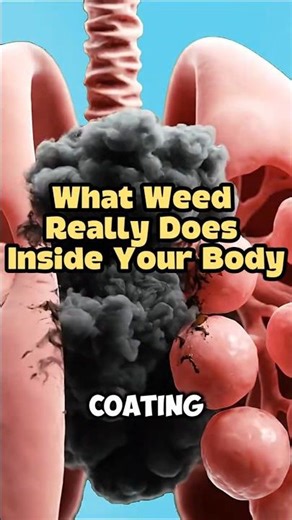 What Weed Really Does Inside Your Body #WeedAwareness #SubstanceHealth #BrainAndLungDamage