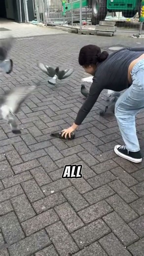 The pigeon rescuer ✨😇