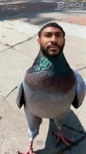 Ruining AI memes using Content Aware Scale Part 2