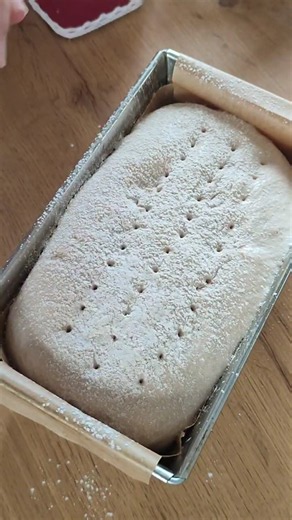 Sourdough Bread Baked in a Loaf Pan#Sourdough #LievitoMadre#HomemadeBread#CrustyBread#SourdoughBread