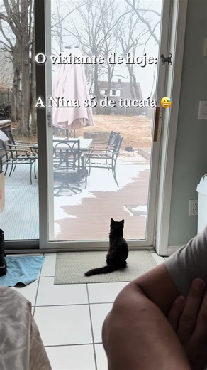 eubarbarakeltrin (@eubarbarakeltrin)’s videos with Curious Animals - Eitan Epstein Music