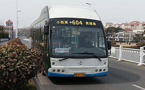 飞燕SDL6120EVG4这个车型也是很炸裂的存在呀