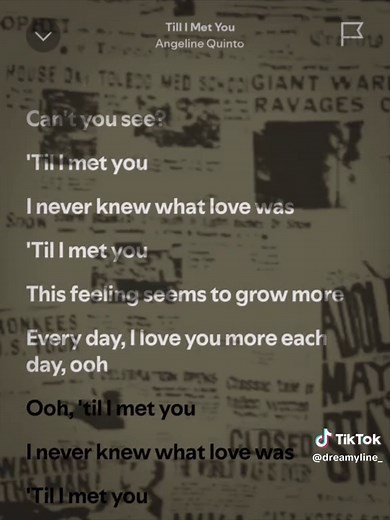 Till I Met You lyrics - full song lyrics and karaoke