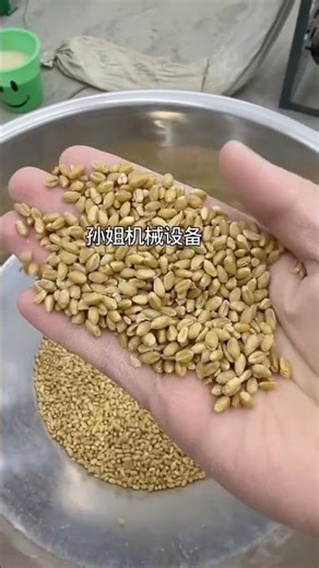 High-power stainless steel vegetable chopper #vegetable chopper