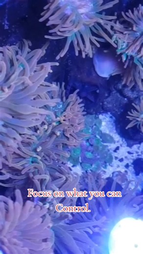 Discover Miller's Blue Thumb Talent!