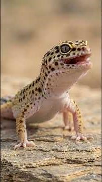 The Strange World Of Leopard Geckos: 10 Fun Facts!