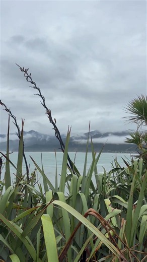 Point Elizabeth Walking Track | Greymouth #travel #beach #nature