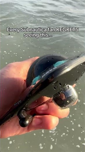 Do NOT show this to a Subnautica fan…🫣 #seamoth #subnautica #waterdrone