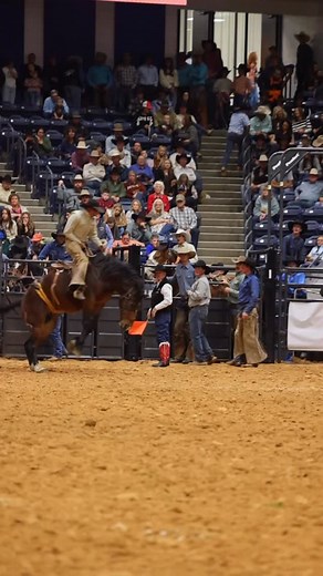 Jayde Smith with Circle M8 with an 86 point ride on Red Runy (Frontier Rodeo) at the WRCA Finals in Amarillo TX ‌ 🎥 Corenna Broussard ‌ #broncriding #ranchbronc #rodeo #broncrider #cowboys #ranchrodeo | Talk Rodeo To Me