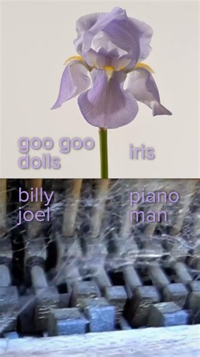 Goo Goo Dolls - Iris vs. Billy Joel - Piano Man
