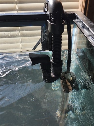 Fluval Canister 07: Pro Tips for Effective Priming