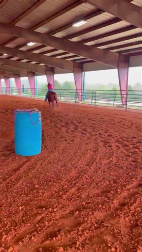 Sorrel Paint Mare For Sale