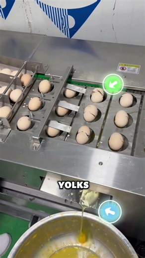 Egg Cracking machine