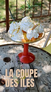 La confection de nos coupes de glace 🍨 Aujourd’hui, Thomas vous présente la confection de nos coupes de glace, du bac à la table 😍 👉 Sans réservation, du mercredi au dimanche 📍391 avenue des Sorgues, Velleron #glace #glacier #gourmand #terrasse #confection #velleron | Le Glacier de Velleron