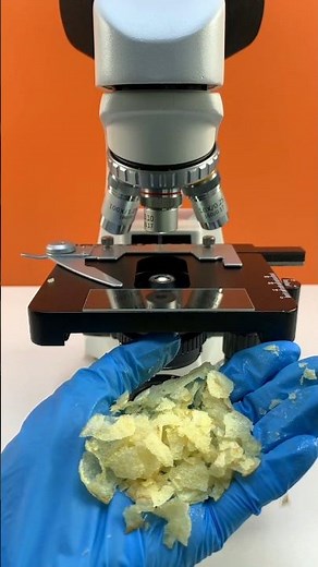 Lay's Chips Under the microscope #lays #chips #microscope #knowledge #science