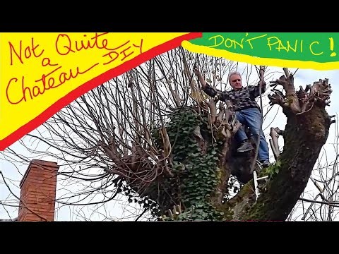 Not Quite a Chateau DIY 349 - Treetop Drama - Precarious Pollarding - Tony versus the Lime Tree