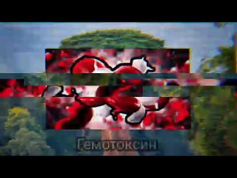 SCP-026, серия 28