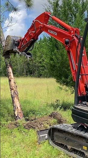 Clearing trees with mini excavator for our new house