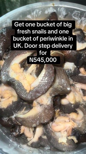 Fresh Frozen Snails + Periwinkle Combo | Doorstep Delivery Available