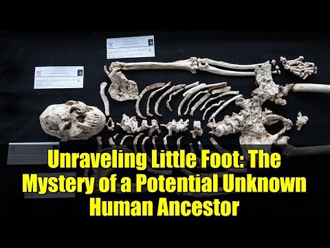 Unraveling Little Foot: The Mystery of a Potential Unknown Human Ancestor