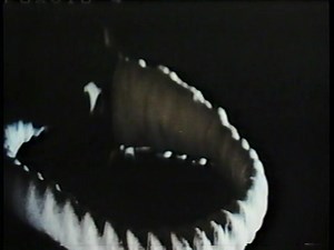 FULL VHS: The Street Fighter (1974) [CBS/Fox Video] (1980/1983 VHS)