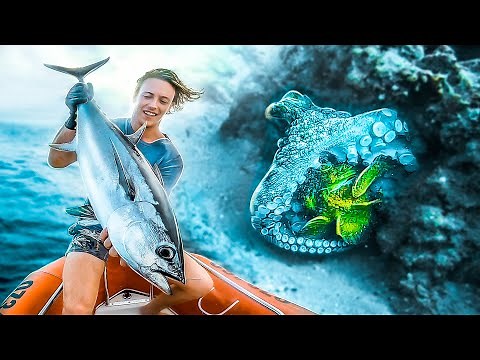 OCTOPUS EATS DEADLY STONEFISH!! Longtail TUNA Catch n Cook