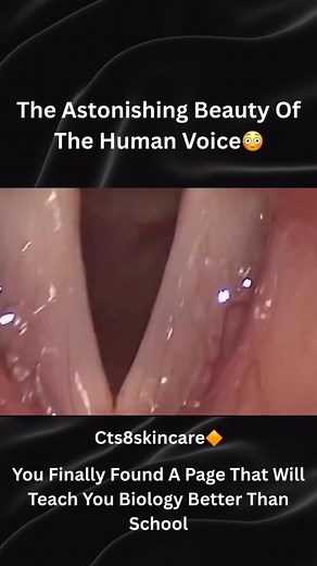 🎙️ The Human Voice – A Living Instrument Inside Us! What you see in this video is the real movement of our vocal cords — the tiny folds that allow us to speak, sing, cry, laugh & express emotions. ⠀ 🧬 How It Works: ➡️ Air from the lungs passes through the vocal cords ➡️ They vibrate up to 100–1000 times per second! ➡️ These vibrations create sound ➡️ Our mouth, lips & tongue shape that sound into words ⠀ 🍃 Fun Facts: ✔ Vocal cords are only 12–17 mm long ✔ Made of muscle mucous membrane ✔ Can 
