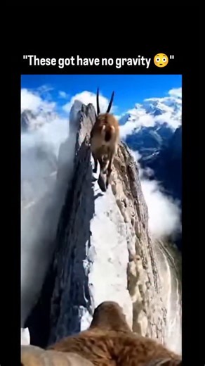 sci || teach || physics || on Instagram: "This is why RAM costs $900. What looks like a simple stick of memory is now one of the most contested resources in tech. AI data centers are consuming massive amounts of high-performance memory, especially HBM (High Bandwidth Memory), to train and run large models. Chipmakers prioritize these ultra-high-margin AI contracts, leaving less manufacturing capacity for consumer RAM. The result is a supply squeeze. Less DDR memory reaches the PC market, prices 