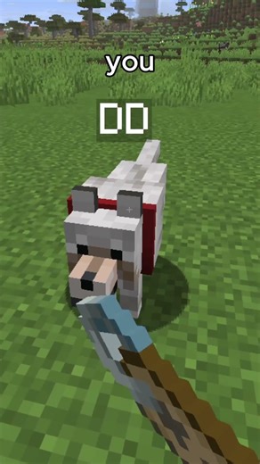 minecraft new update hidden feature #minecraft #minecraftshorts