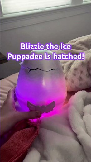 Hatchimals Alive Mystery Hatch Blizzie hatching time laspe