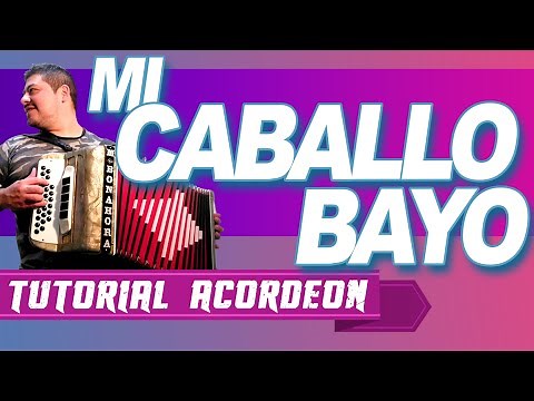 TUTORIAL: MI CABALLO BAYO - Acordeón Verdulera