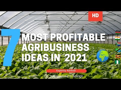 7 MOST Profitable Agribusiness Ideas In 2022 worth Millions (Worldwide)HD|Agriculture Business ideas