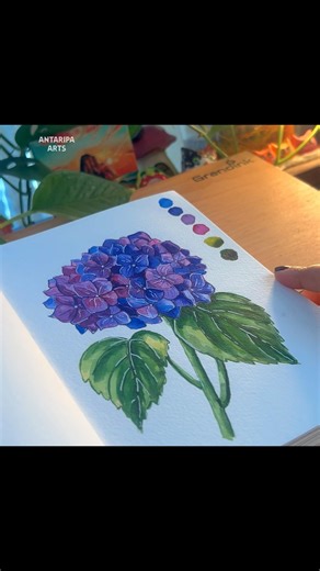 Watercolor Hydrangea Painting | Day 6 of 20 Flower Challenge #flowerdrawing #hydrangea #watercolor