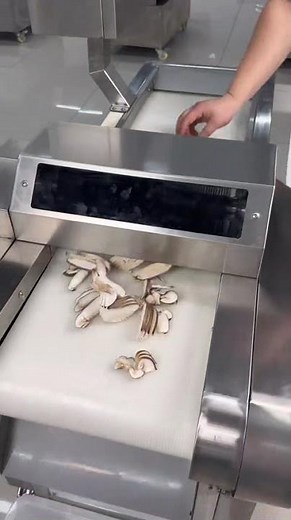 Vegetable Slicer Machine | Whole Vegetable In, Perfect Slices Out! Powerful Veg Slicer Machine Demo