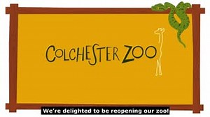 21K views · 287 reactions | Have you booked to visit us this weekend? Learn more about the safety measures we have in place to make sure you have a safe and enjoyable day out! #ColchesterZoo #SafetyFirst #DaysOut | Colchester Zoo | Facebook