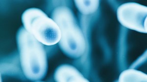 A growing list of infections are becoming nearly impossible to treat due to AMR. Policy reforms can help address this threat. | PhRMA